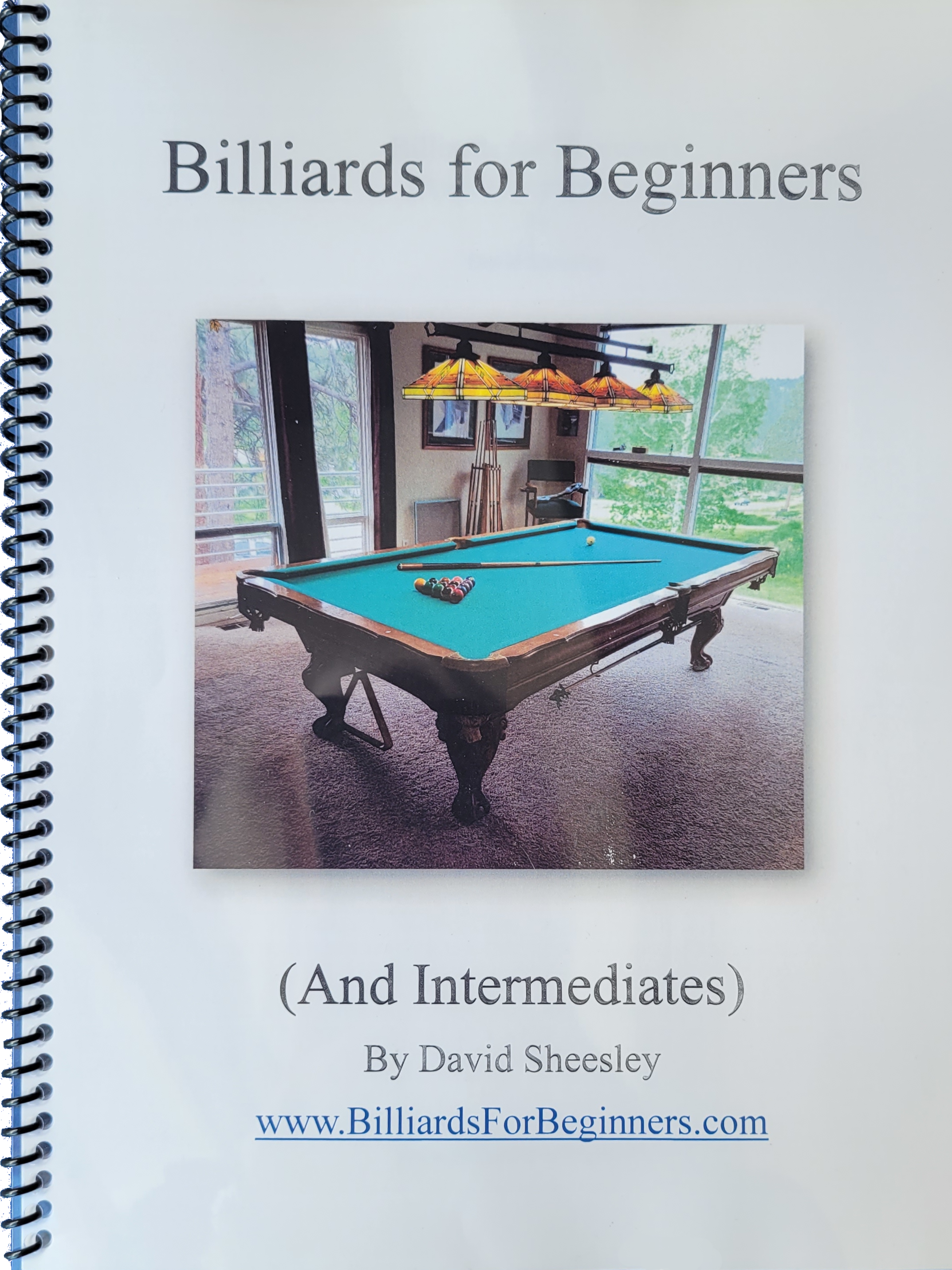 Billiards for Beginners